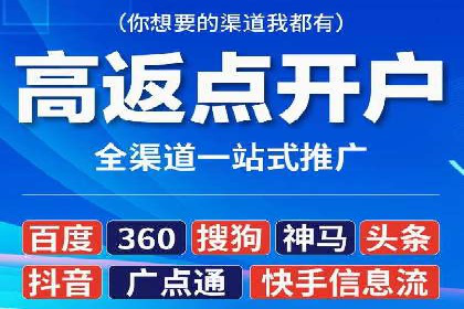 竞价广告投放策略，代运营公司的成功实践